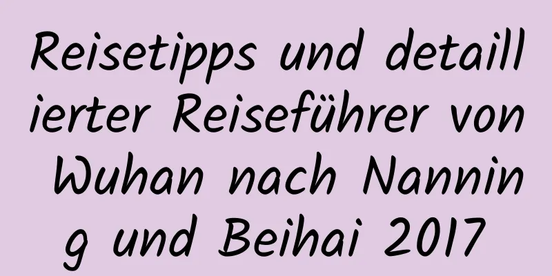 Reisetipps und detaillierter Reiseführer von Wuhan nach Nanning und Beihai 2017