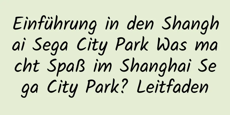 Einführung in den Shanghai Sega City Park Was macht Spaß im Shanghai Sega City Park? Leitfaden