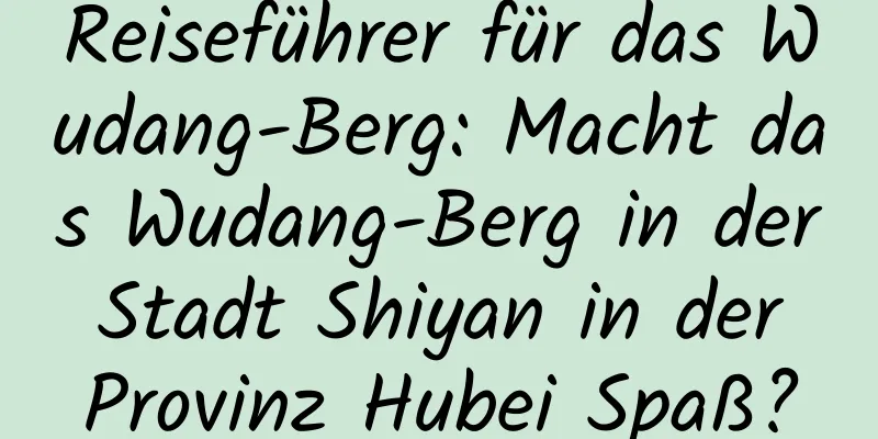 Reiseführer für das Wudang-Berg: Macht das Wudang-Berg in der Stadt Shiyan in der Provinz Hubei Spaß?