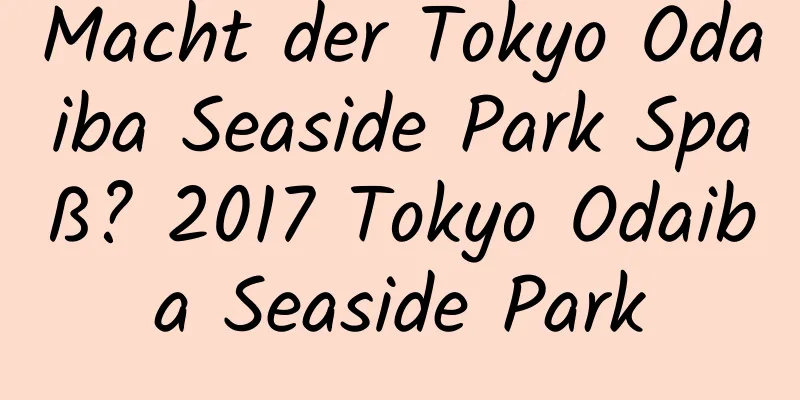 Macht der Tokyo Odaiba Seaside Park Spaß? 2017 Tokyo Odaiba Seaside Park