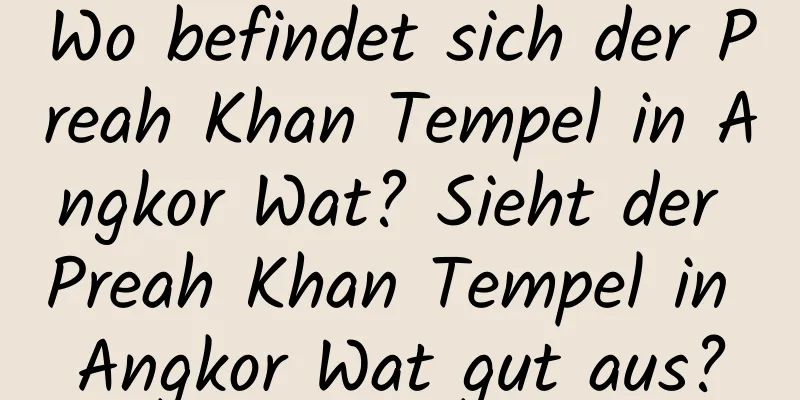 Wo befindet sich der Preah Khan Tempel in Angkor Wat? Sieht der Preah Khan Tempel in Angkor Wat gut aus?