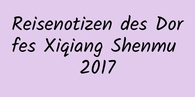 Reisenotizen des Dorfes Xiqiang Shenmu 2017