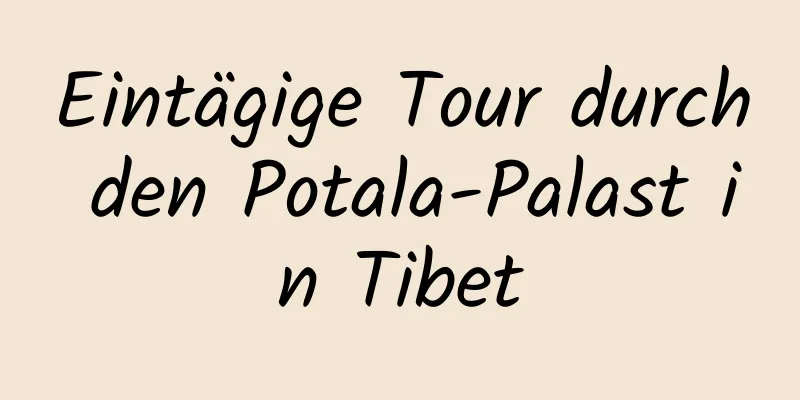 Eintägige Tour durch den Potala-Palast in Tibet