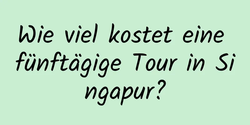 Wie viel kostet eine fünftägige Tour in Singapur?