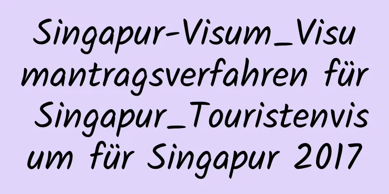 Singapur-Visum_Visumantragsverfahren für Singapur_Touristenvisum für Singapur 2017