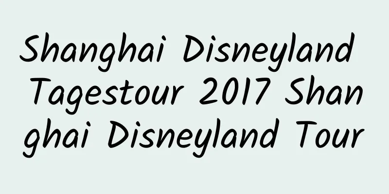 Shanghai Disneyland Tagestour 2017 Shanghai Disneyland Tour