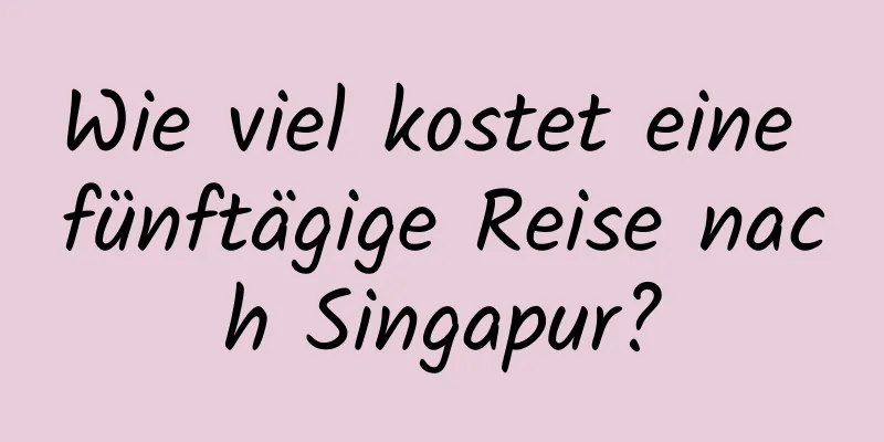 Wie viel kostet eine fünftägige Reise nach Singapur?