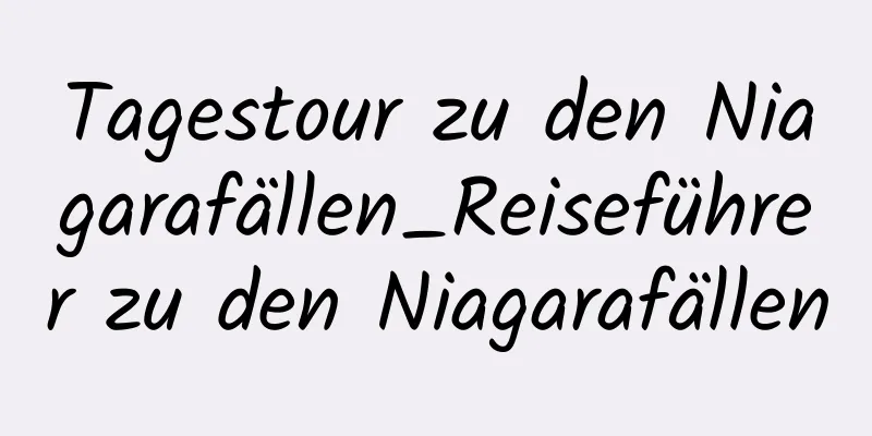 Tagestour zu den Niagarafällen_Reiseführer zu den Niagarafällen