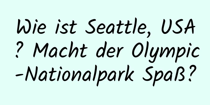 Wie ist Seattle, USA? Macht der Olympic-Nationalpark Spaß?