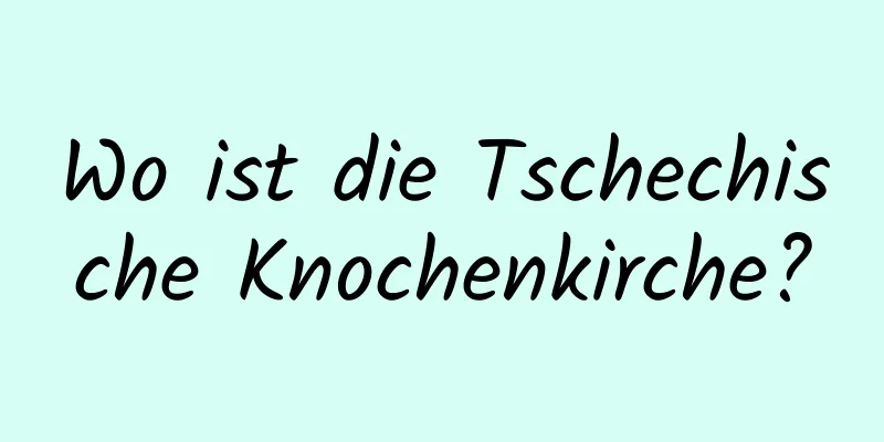 Wo ist die Tschechische Knochenkirche?