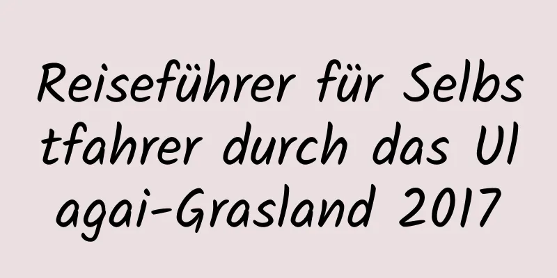 Reiseführer für Selbstfahrer durch das Ulagai-Grasland 2017