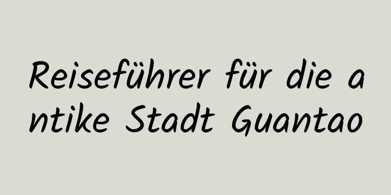 Reiseführer für die antike Stadt Guantao