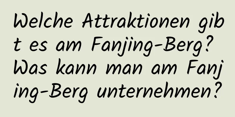 Welche Attraktionen gibt es am Fanjing-Berg? Was kann man am Fanjing-Berg unternehmen?