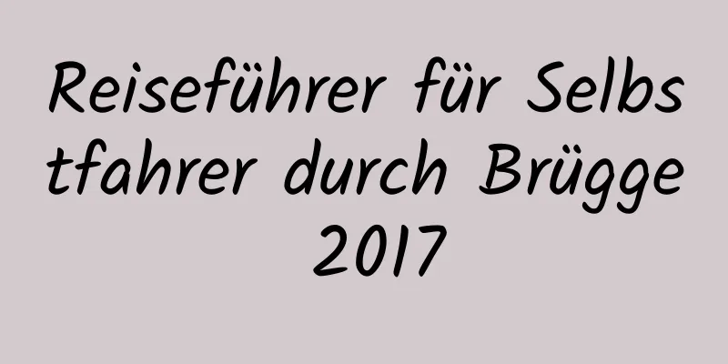 Reiseführer für Selbstfahrer durch Brügge 2017