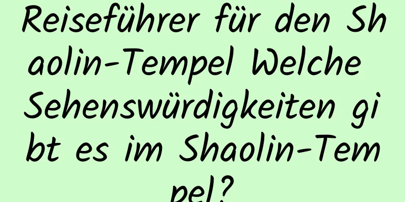 Reiseführer für den Shaolin-Tempel Welche Sehenswürdigkeiten gibt es im Shaolin-Tempel?