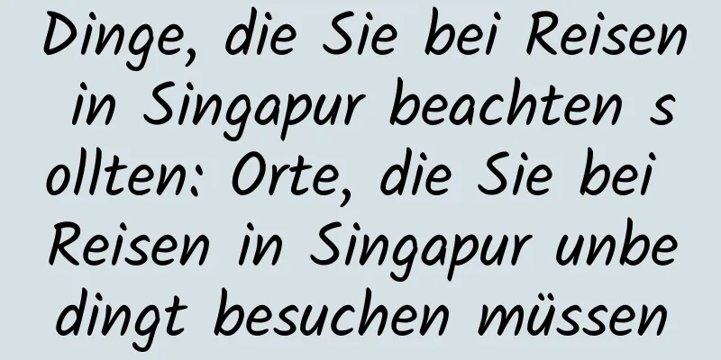 Dinge, die Sie bei Reisen in Singapur beachten sollten: Orte, die Sie bei Reisen in Singapur unbedingt besuchen müssen