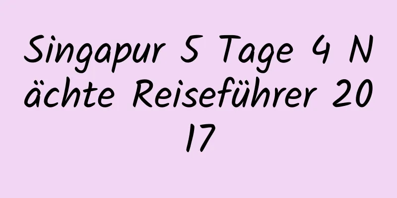 Singapur 5 Tage 4 Nächte Reiseführer 2017