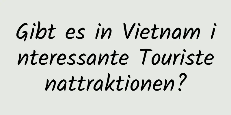 Gibt es in Vietnam interessante Touristenattraktionen?