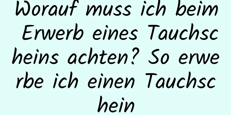 Worauf muss ich beim Erwerb eines Tauchscheins achten? So erwerbe ich einen Tauchschein