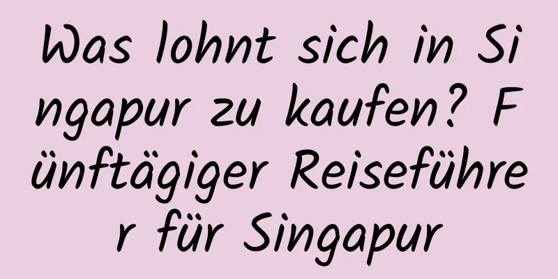 Was lohnt sich in Singapur zu kaufen? Fünftägiger Reiseführer für Singapur