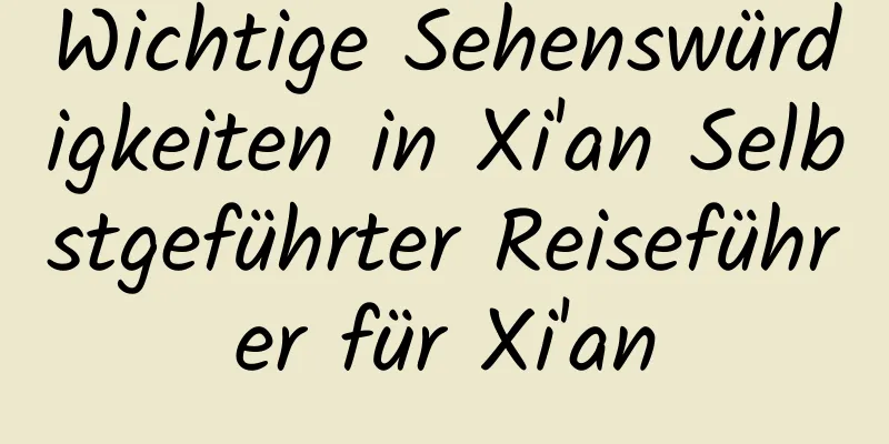 Wichtige Sehenswürdigkeiten in Xi'an Selbstgeführter Reiseführer für Xi'an