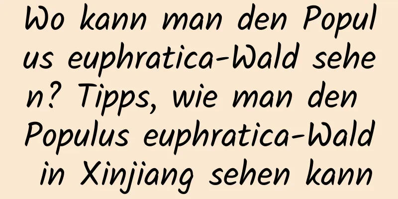 Wo kann man den Populus euphratica-Wald sehen? Tipps, wie man den Populus euphratica-Wald in Xinjiang sehen kann