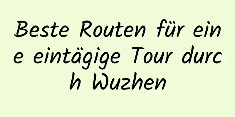 Beste Routen für eine eintägige Tour durch Wuzhen