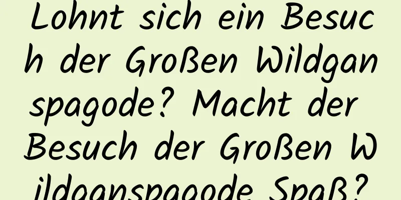 Lohnt sich ein Besuch der Großen Wildganspagode? Macht der Besuch der Großen Wildganspagode Spaß?