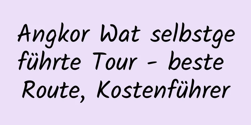 Angkor Wat selbstgeführte Tour - beste Route, Kostenführer