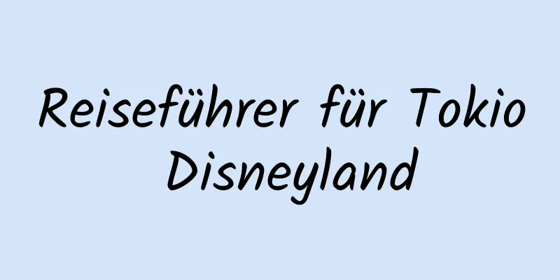 Reiseführer für Tokio Disneyland