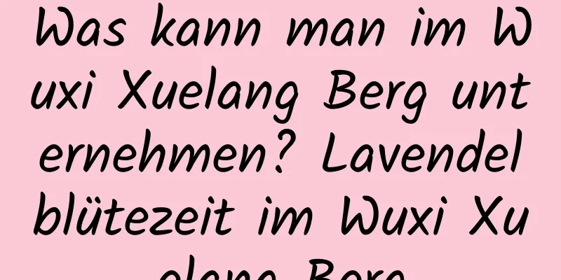 Was kann man im Wuxi Xuelang Berg unternehmen? Lavendelblütezeit im Wuxi Xuelang Berg