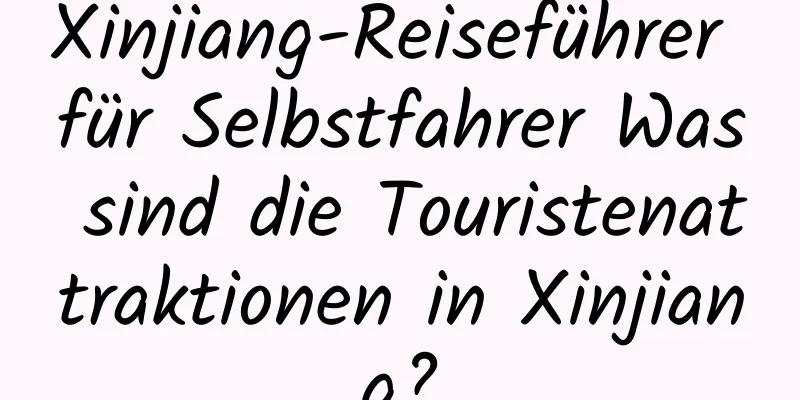 Xinjiang-Reiseführer für Selbstfahrer Was sind die Touristenattraktionen in Xinjiang?