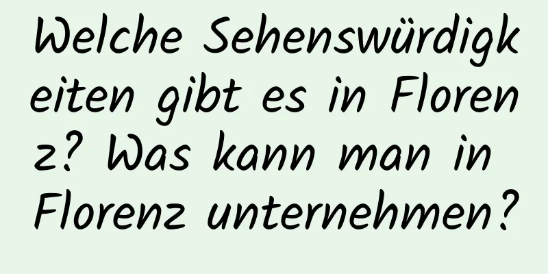 Welche Sehenswürdigkeiten gibt es in Florenz? Was kann man in Florenz unternehmen?