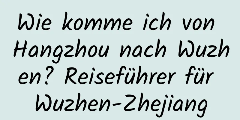 Wie komme ich von Hangzhou nach Wuzhen? Reiseführer für Wuzhen-Zhejiang