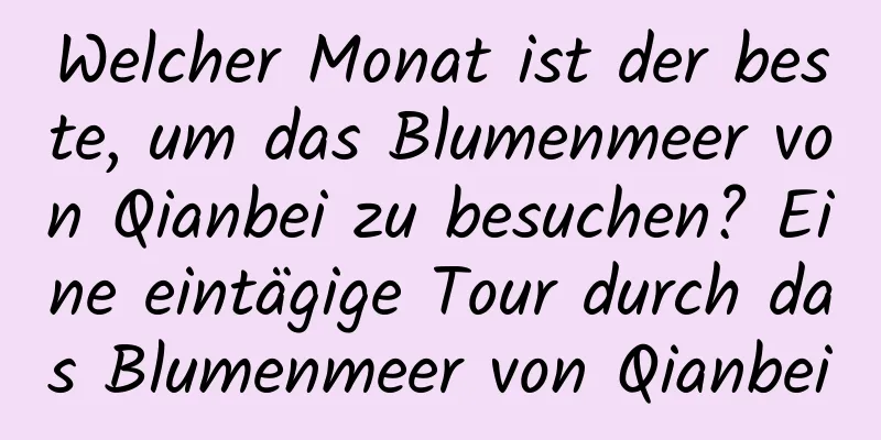 Welcher Monat ist der beste, um das Blumenmeer von Qianbei zu besuchen? Eine eintägige Tour durch das Blumenmeer von Qianbei