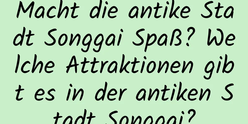 Macht die antike Stadt Songgai Spaß? Welche Attraktionen gibt es in der antiken Stadt Songgai?