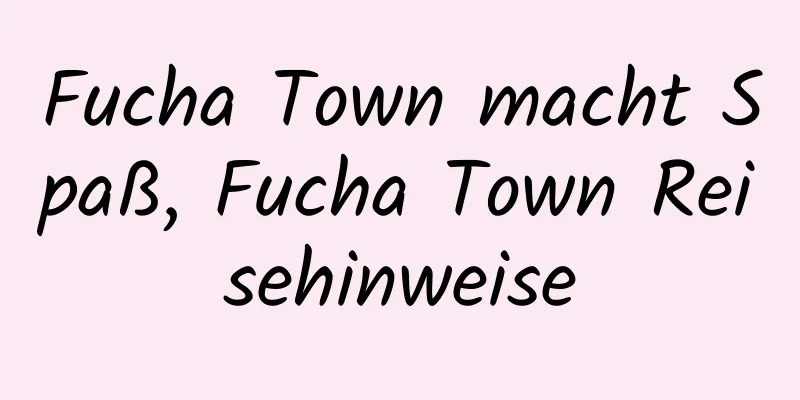 Fucha Town macht Spaß, Fucha Town Reisehinweise