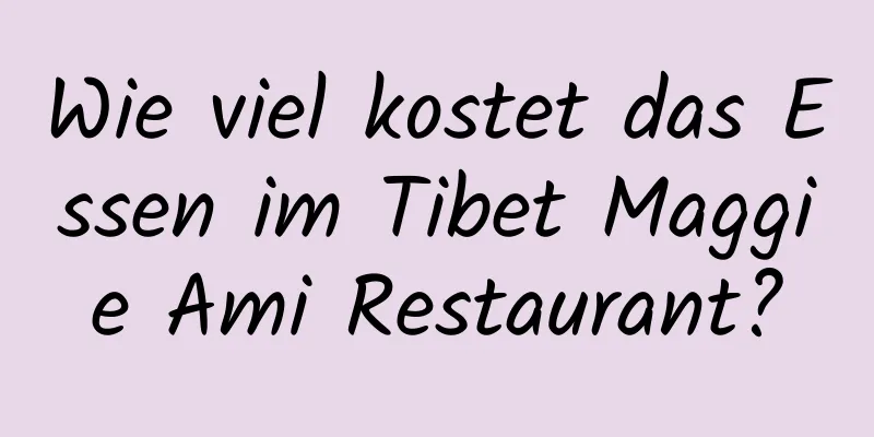 Wie viel kostet das Essen im Tibet Maggie Ami Restaurant?