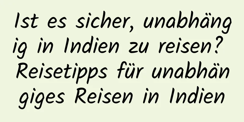 Ist es sicher, unabhängig in Indien zu reisen? Reisetipps für unabhängiges Reisen in Indien