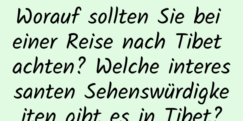 Worauf sollten Sie bei einer Reise nach Tibet achten? Welche interessanten Sehenswürdigkeiten gibt es in Tibet?