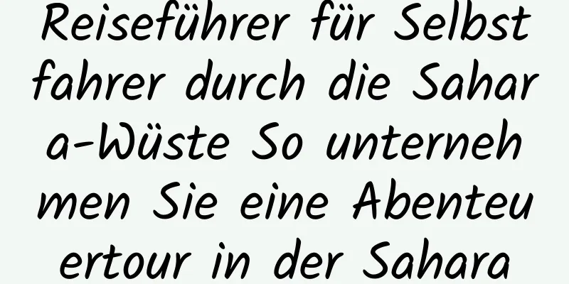 Reiseführer für Selbstfahrer durch die Sahara-Wüste So unternehmen Sie eine Abenteuertour in der Sahara