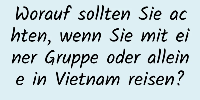 Worauf sollten Sie achten, wenn Sie mit einer Gruppe oder alleine in Vietnam reisen?