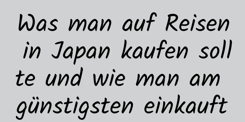 Was man auf Reisen in Japan kaufen sollte und wie man am günstigsten einkauft