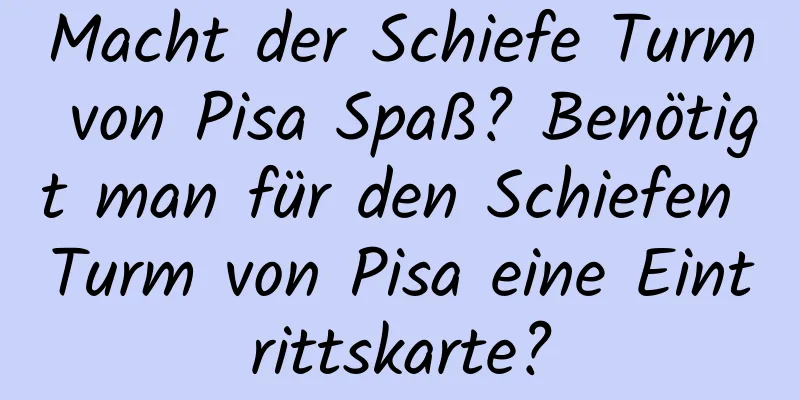 Macht der Schiefe Turm von Pisa Spaß? Benötigt man für den Schiefen Turm von Pisa eine Eintrittskarte?