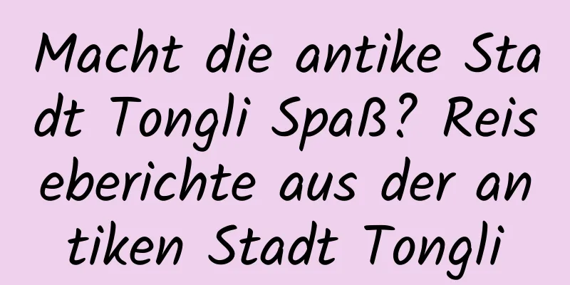 Macht die antike Stadt Tongli Spaß? Reiseberichte aus der antiken Stadt Tongli