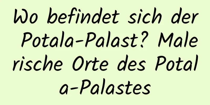 Wo befindet sich der Potala-Palast? Malerische Orte des Potala-Palastes