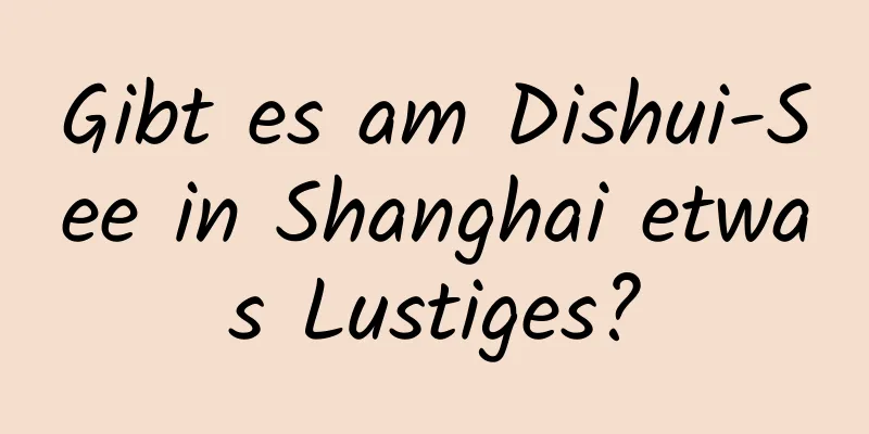 Gibt es am Dishui-See in Shanghai etwas Lustiges?