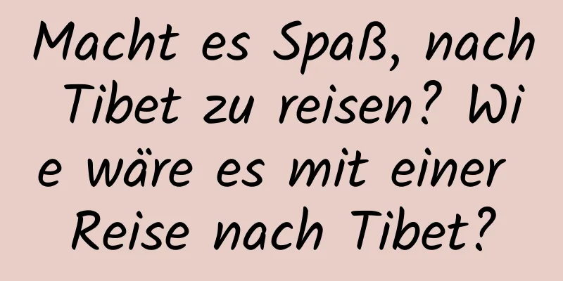 Macht es Spaß, nach Tibet zu reisen? Wie wäre es mit einer Reise nach Tibet?