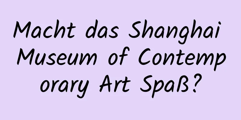 Macht das Shanghai Museum of Contemporary Art Spaß?