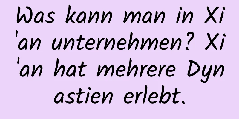 Was kann man in Xi'an unternehmen? Xi'an hat mehrere Dynastien erlebt.